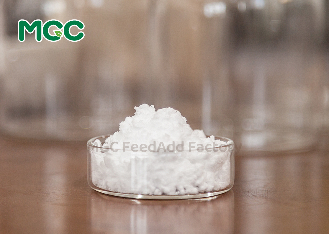 Inositol (Vitamin B8)